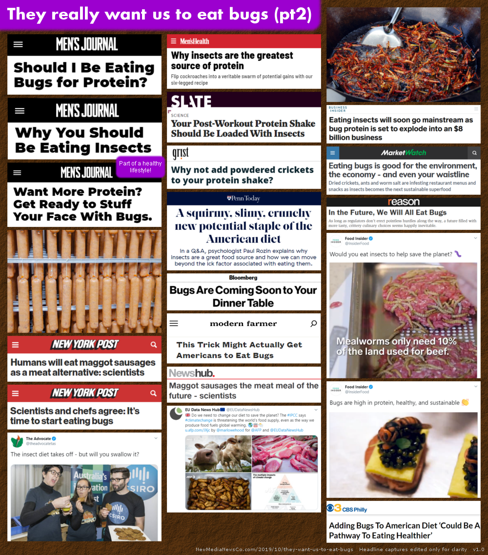 They really want us to eat bugs (pt2)
